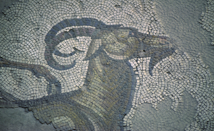 Great Palace Mosaic Museum (Büyük Saray Mozaikleri Müzesi)