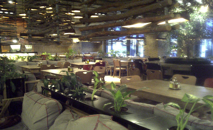 Earth Cafe Restaurant