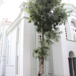 Burgazada Rum Kilisesi