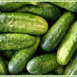 Çengelköy: Cucumber